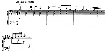 p13.jpg