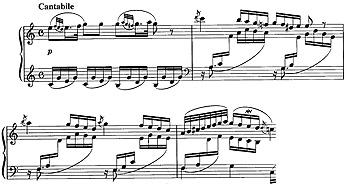 p14.jpg
