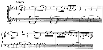 p19.jpg