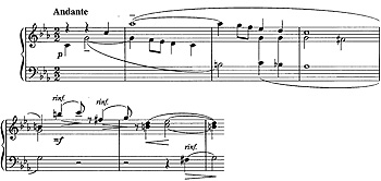 p20.jpg